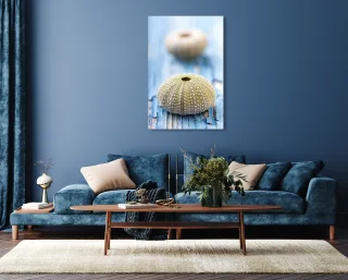 queence Acrylglasbild "Emar" Kunst  Tiere  Wassertiere  Wildtiere 1 Stk. tlg. Fine Art-Print in Galeriequalität