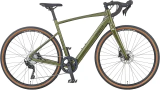 Prophete "Graveler 1.0" 8 Gang Shimano Kettenschaltung Heckmotor 250 W Pedelec, Elektrofahrrad für Herren