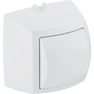 Geberit HyTouch WC-Handdrücker weiß-alpin 1-Mengen-Auslösung für Anstalten 240570111