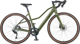 Prophete "Graveler 1.0" 8 Gang Shimano Kettenschaltung Heckmotor 250 W Pedelec, Elektrofahrrad für Herren