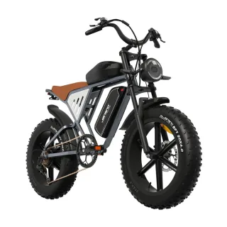 [EU Direct] JANSNO X70 Electric Bike 48V 14AH+20AH Dual Batteries 750W Motor Recommended Top Speed 25KM/H 20inches Tires