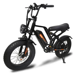 [EU Direct] JKING FXH-009 Electric Bike 48V 15.6Ah Battery 500W Motor Recommended Top Speed 25KM/H 20inches Tires 40KM M