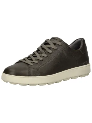 Geox Sneaker "Geox Sneaker Leder"