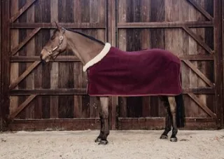 Abschwitzdecke KY Fleece Show Rug Heavy