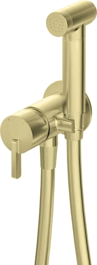 Neuesbad Serie 600 Bidetarmatur, Unterputz, mit Bidet-Handbrause, Oberfläche: gold gebürstet NB1BQS_R34M1