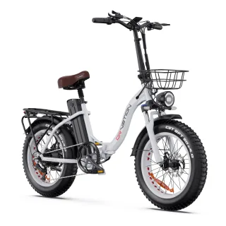 [EU DIRECT] DRVETION CT20 Electric Bike 48V 20AH SamsungBattery 750W Recommended Top Speed 25KM/H Motor 20*4.0inch Fat T