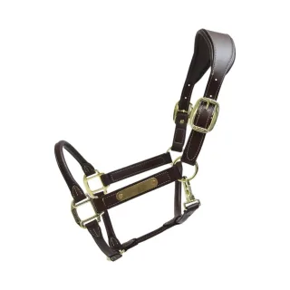 Halfter KY Anatomic