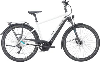 Herren e-Bike  Pegasus Premio EVO 10 Lite Herren weiß (Rahmenhöhe: 55 cm | Körpergrösse 175 - 185 cm / Akkukapazität: 500 Wh)