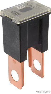 HERTH&BUSS Sicherung, PAL-AS, 32V max. schwarz - 50295448