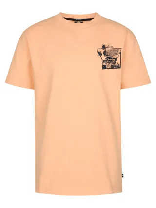 Petrol Industries - Boys T-Shirt SS Classic Print tropical orange - Gr. - 176