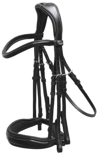 Kandarenzaum SP Milan Anatomic Line