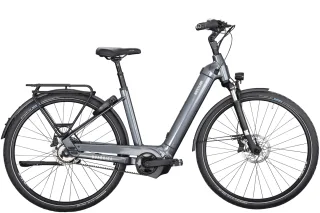 Damen E-Bike  Kettler Quadriga P5 Benelux HD Belt RT (Rahmenhöhe: 53 cm | Körpergröße 170 - 180 cm)