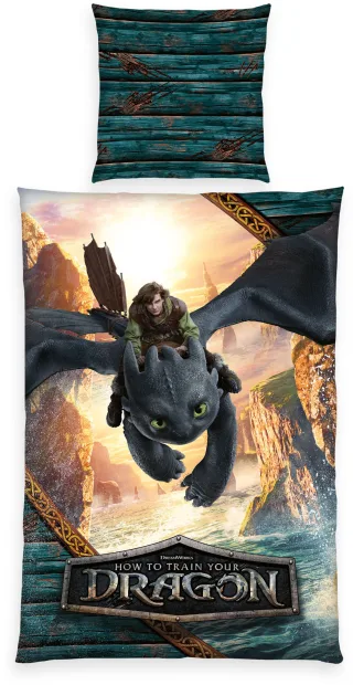 Bettwäsche "Dragons" 2 Stk. Wendebettwäsche