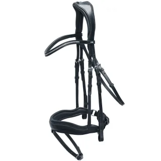 Trense SP Stanford Anatomic Line