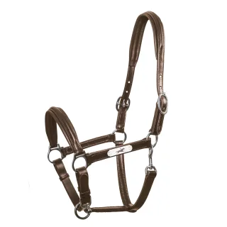 Lederhalfter SP Ulm Pro