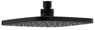 Damixa Pine Kopfbrause , schwarz matt, 766626100 766626100