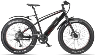 Telefunken "Aufsteiger FM350" 8 Gang Kettenschaltung Heckmotor 250 W 26 Zoll x 4,00 Breitreifen;ca. 100km Reichweite;Geländebike off road, Pedelec, Elektrofahrrad für Damen u. Herren, MTB
