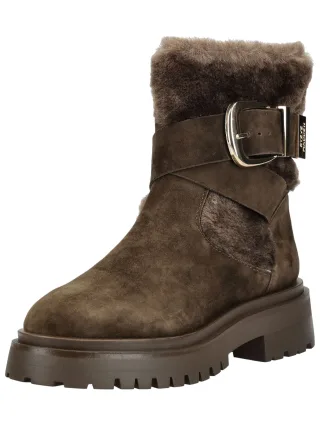 STEVE MADDEN Stiefelette "STEVE MADDEN Stiefelette Veloursleder"