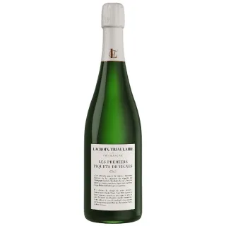 Les Premiers Piquets de Vignes Champagne Lacroix Triaulaire