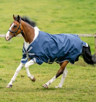 Weidedecke HW Amigo Turnout XL Orig T/O lite 0g