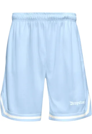 Dropsize Shorts "Dropsize Herren Dropsize Logo Mesh Shorts"