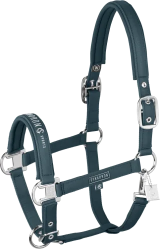 Halfter Sparkle Double Pin Classic Sports 26