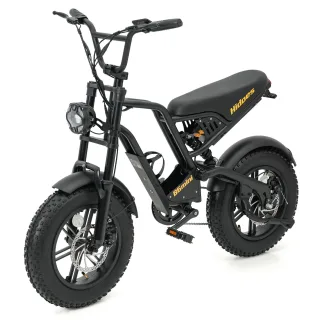 [EU Direct] Hidoes HD-B6MINI Electric Bike 48V 10.4Ah Battery 500W Motor Recommended Top Speed 25KM/H 16inch Tires 18-28