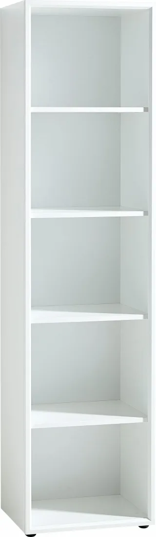 GERMANIA Aktenregal "GW-Monteria" in 2 Höhen, Fächer mit Ordnerhöhe, Breite 50 cm, Made in Germany
