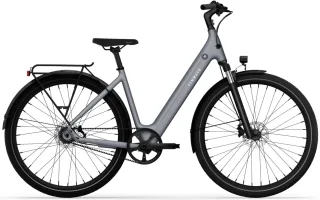 Damen E-Bike  Tenways CGO800S grau . 2025 (Rahmenhöhe: Einheitsgröße von 155 - 190 cm)