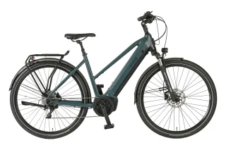 Prophete "Entdecker 4.8" 10 Gang microSHIFT XLE Schaltwerk Kettenschaltung Mittelmotor 250 W