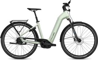Damen E-Bike  Flyer G1 Gotour 7.23 Auto Wave sage 750WH (Rahmenhöhe: L = 53 cm | 175 - 185 cm)