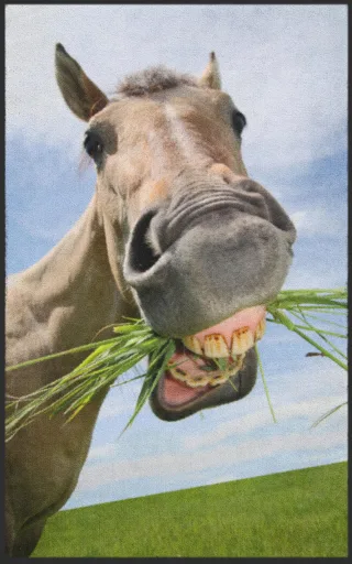 Fussmatte 7741 | Größe: 60 cm x 90 cm