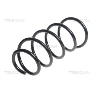 Triscan Feder vorne BMW X1 875011161