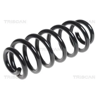 Triscan Feder hinten Audi A3 8P 875029347
