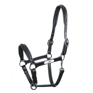 Lederhalfter SP Ulm Pro