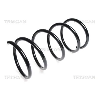 Triscan Feder vorne Kia Carnival 3