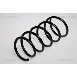 Triscan Feder vorne Renault Megane 1