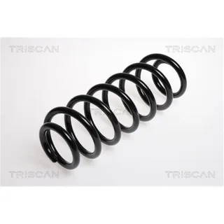 Triscan Feder hinten Peugeot 307 308