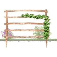BooGardi Rankhilfe Kletterhilfe aus Holz, Höhe über der Erde 90 x Breite 50 cm · 33 Größen, Freistehend Spalier Rankgitter Spalier Rosenbogen