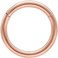 Wildcat Nasenpiercing Hinged Ring für Ohr, Nase, Lippe, Bauchnabel, 1 Stück, Titan Grad 23 - wasserfest, hautverträglich, Roségold