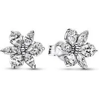 Pandora Paar Ohrstecker 292633C01