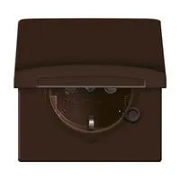 Schutzkontakt-Steckdoseneinsatz CEE 7/3 Typ F 20 EUGKB-31-101 braun, Retail