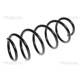 Triscan Feder vorne Fiat Bravo 1,4 875015144