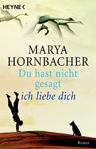 Du hast nicht gesagt ich liebe dich: Roman