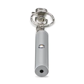 Hama LP-1R | 00003500 | Laserpointer - Mattes Chrom