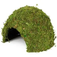 HOBBY Terrariendeko Jungle Cave Höhle für Terrarien - Gr. 2