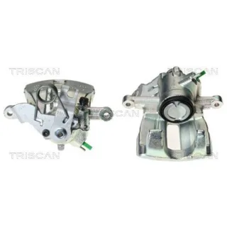 Triscan Bremssattel hinten links Audi A4 B6 B7