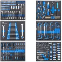NTG Nutzfahrzeug Technik GmbH Werkzeugset Werkstattwagen Einlagen Werkzeugeinlagen 520x400mm bestückt 6 Stück