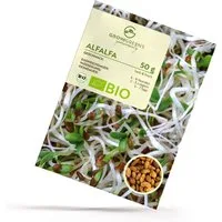Growgreens Gemüsesamen BIO Alfalfa Sprossen Samen (50g) - Microgreens Saatgut