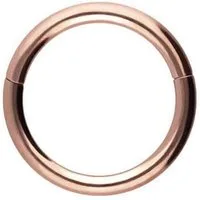 PIERCINGLINE Nasenpiercing Titan Segmentring Clicker Ohrpiercing Septum Nase (Clicker, 1-tlg), Ohrpiercing für Conch, Helix, Tragus, Daith, Lobe